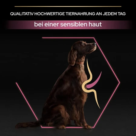 Purina Pro Plan Adult Large Athletic Sensitive Skin Salmon - Compleet voer voor volwassen honden met een gevoelige huid, 14 kg