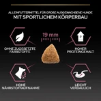 Purina Pro Plan Adult Large Athletic Sensitive Skin Salmon - Compleet voer voor volwassen honden met een gevoelige huid, 14 kg
