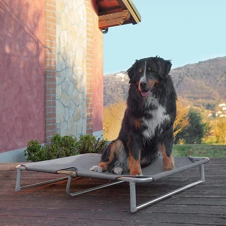 Ferplast Dream - Lit pour chien pliable et surélevé avec structure en aluminium, 119 x 79 x h 18 cm