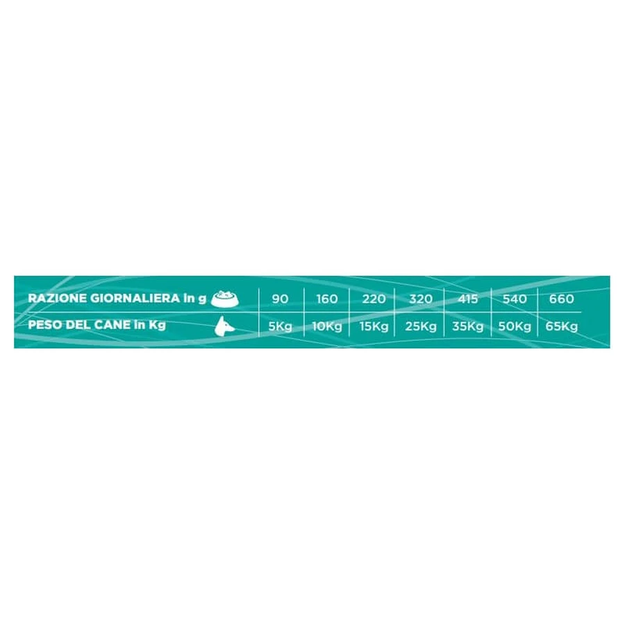 Necon Zero Grain Adult Maintenance hondenvoer met kalkoen – Compleet voer voor volwassen honden, 12 kg