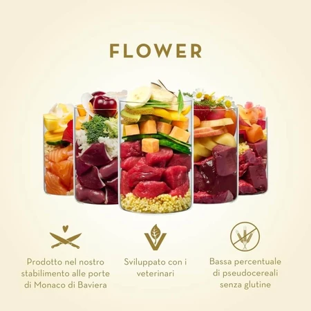Terra Canis Flower Waikiki Woof Salmon - Aanvullend natvoer voor honden, 400 g
