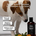 Acondicionador hidratante de Bau Cosmetics para pelo corto, 250 ml