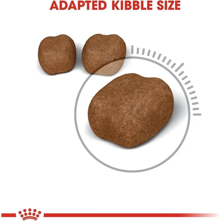 Royal Canin Dental Care - Complete Food for Adult Cats to Support Oral Hygiene, 1.5 kg
