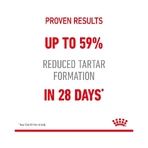 Royal Canin Dental Care - Complete Food for Adult Cats to Support Oral Hygiene, 1.5 kg