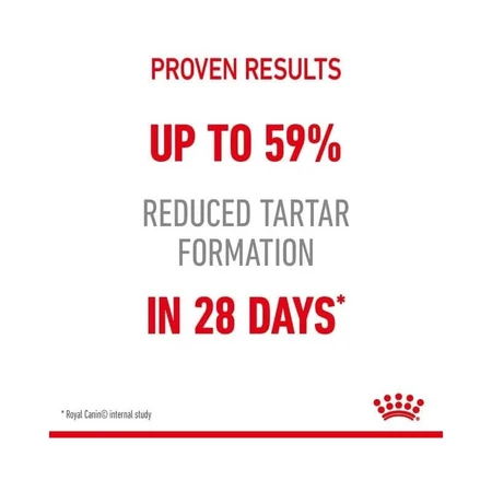 Royal Canin Dental Care - Complete Food for Adult Cats to Support Oral Hygiene, 1.5 kg