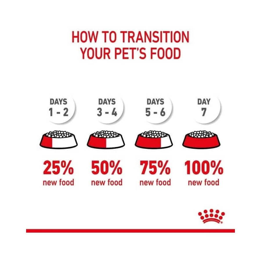 Royal Canin Dental Care - Complete Food for Adult Cats to Support Oral Hygiene, 1.5 kg
