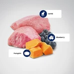 Farmina N&amp;d Pumpkin Puppy Medium &amp; Maxi mit Lamm und Kürbis – Alleinfuttermittel für Welpen, 12 kg