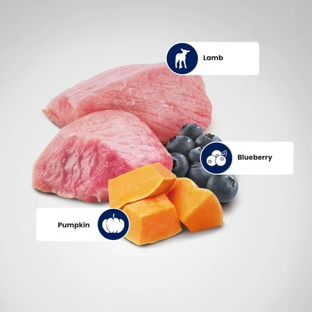 Farmina N&amp;d Pumpkin Puppy Medium &amp; Maxi mit Lamm und Kürbis – Alleinfuttermittel für Welpen, 12 kg