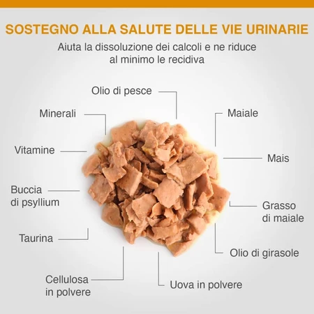 Dechra Specific crystal management maiale – hrană completă pentru pisici adulte, pentru susținerea sănătății tractului urinar, 7 x 100 gr