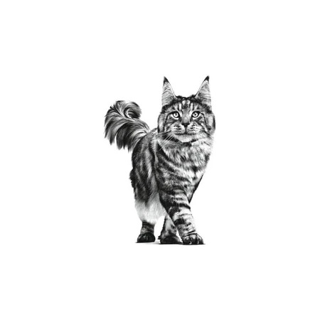 Royal Canin Pill Assist - Pienso para gatos que facilita la administración de medicamentos, 45 g