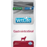 Farmina Vet Life Gastrointestinal - Compleet dieetvoeding voor honden met maag- en darmklachten, 2 kg