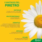 Copyr Kenyasafe Extra - Insecticida contra mosquitos, moscas y otros insectos voladores, 1 lata de 250 ml