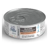 Aurora Biofarma Siland Hepatic Silicate Pâté with Plaice and Potatoes - Complete Food for Adult Cats, 85 g