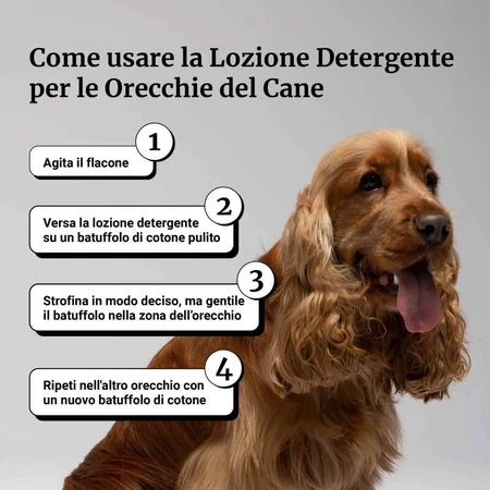 Loción limpiadora de oídos para perros de Bau Cosmetics, 100 ml