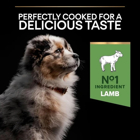 Purina Pro Plan Sensitive Digestion Lamm – Alleinfuttermittel für mittelgroße Welpen, 3 kg