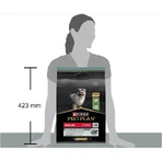 Purina Pro Plan Sensitive Digestion Lamm – Alleinfuttermittel für mittelgroße Welpen, 3 kg