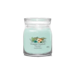 Yankee Candle Aloe & Agave – Signatur-Duftkerze, mittelgroß, 368 g