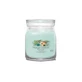 Yankee Candle Aloe & Agave – Signatur-Duftkerze, mittelgroß, 368 g
