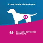 Farmina Vet Life - Dietary Food for Dogs with Struvite Stones, 300 g