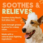 Tropiclean Opti-neem - Soothing Anti-Flea and Tick Shampoo for Dogs, 592 ml