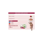 Natural Trainer Adult Tonijn en Rundvlees Bites Multipack - Volledig voer voor volwassen katten, 12 zakjes à 85 g