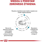 Royal Canin Hypoallergenic - Alimento dietético completo para perros con intolerancias alimentarias, 14 kg