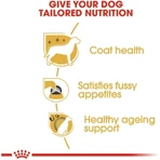 Royal Canin Adult Yorkshire Terrier - Aliment complet pour Yorkshire Terriers adultes, 7,5 kg