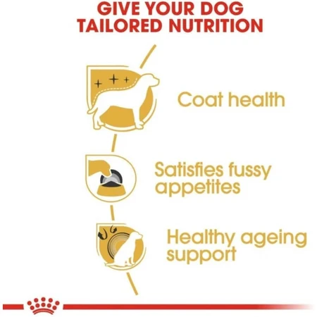 Royal Canin Adult Yorkshire Terrier - Aliment complet pour Yorkshire Terriers adultes, 7,5 kg
