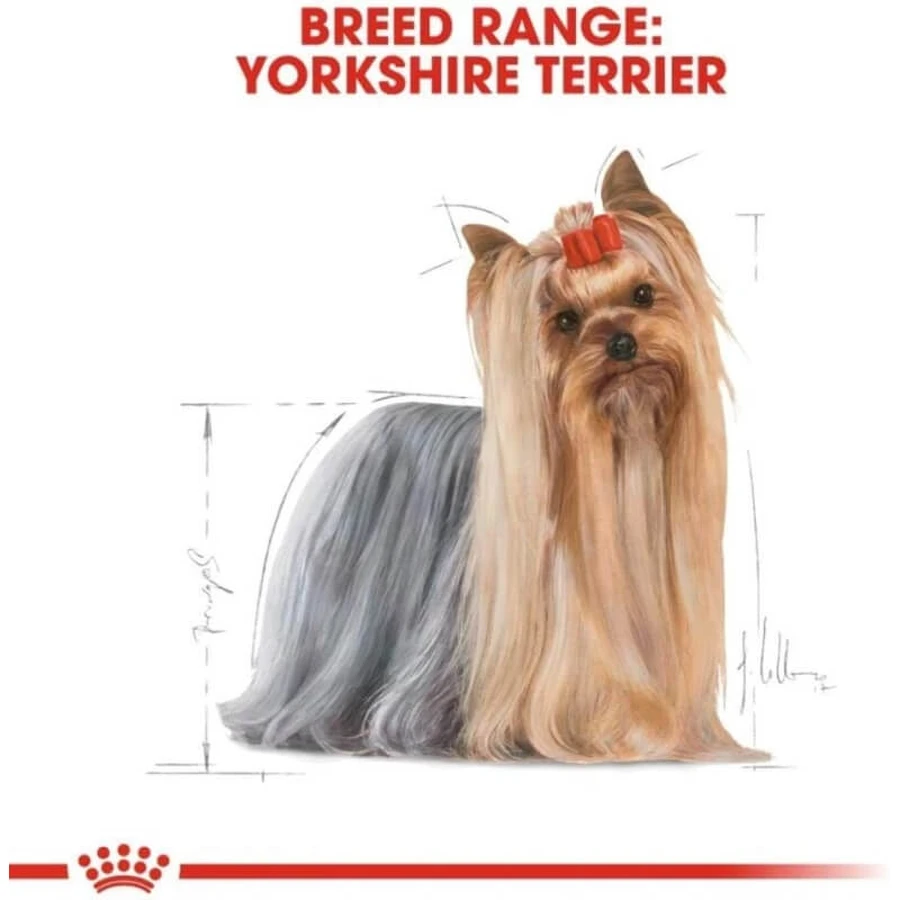Royal Canin Adult Yorkshire Terrier - Aliment complet pour Yorkshire Terriers adultes, 7,5 kg