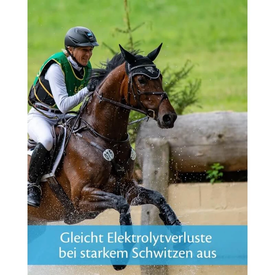 Pâte énergisante Equality Equistro - Complément alimentaire énergétique pour chevaux et poneys, 20 g