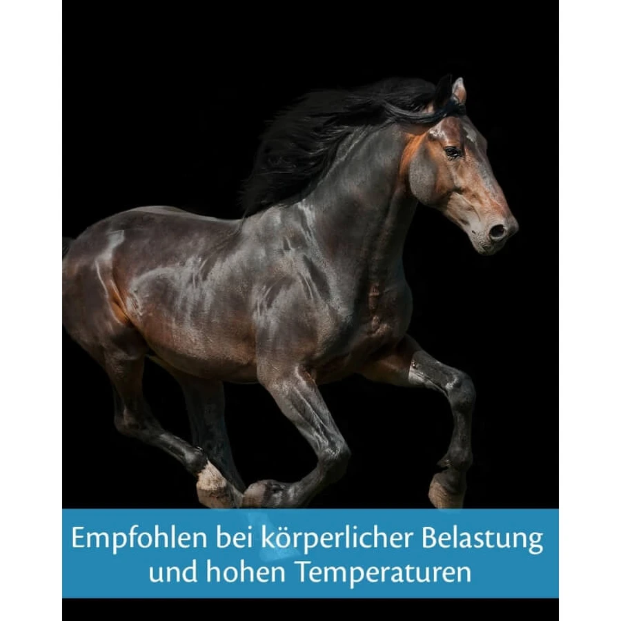 Pâte énergisante Equality Equistro - Complément alimentaire énergétique pour chevaux et poneys, 20 g