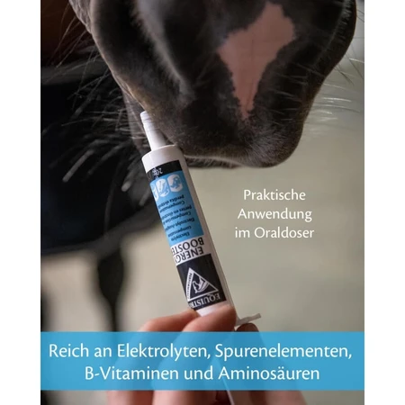 Pâte énergisante Equality Equistro - Complément alimentaire énergétique pour chevaux et poneys, 20 g