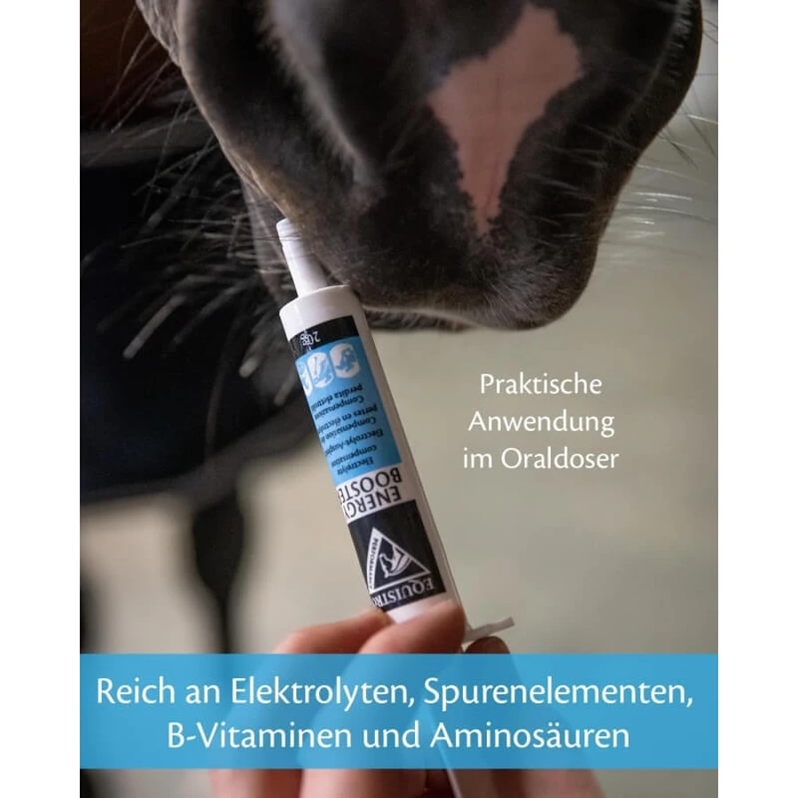 Pâte énergisante Equality Equistro - Complément alimentaire énergétique pour chevaux et poneys, 20 g