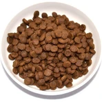 Farmina N&amp;d Prime Adult mit Wildschwein und Apfel – Alleinfuttermittel für ausgewachsene Katzen, 300 g