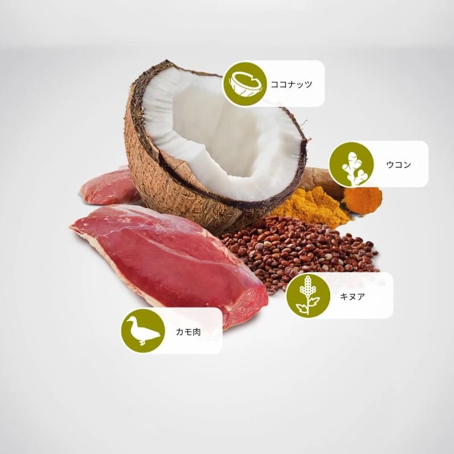 Farmina N&amp;d Quinoa Skin &amp; Coat Ente, Kokosnuss und Kurkuma – Trockenfutter für Hunde mit Nahrungsmittelunverträglichkeiten, 2,5 kg
