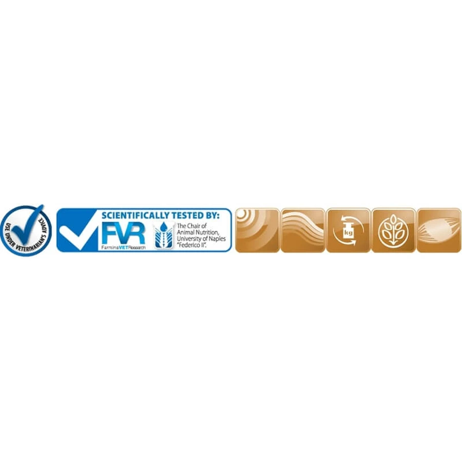 Farmina Vet Life Diabetic – hrană dietetică completă pentru pisici cu diabet zaharat, 2 kg