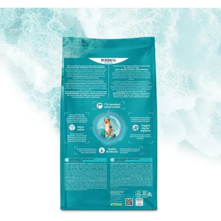 Forza10 Maintenance Medium Adult with Fish - Complete Food for Adult Medium-Sized Dogs, 12 kg