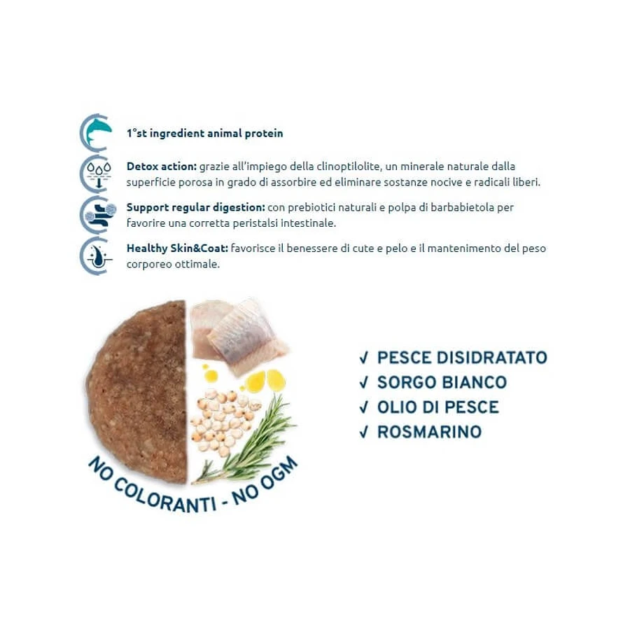Forza10 Maintenance Medium Adult with Fish - Complete Food for Adult Medium-Sized Dogs, 12 kg