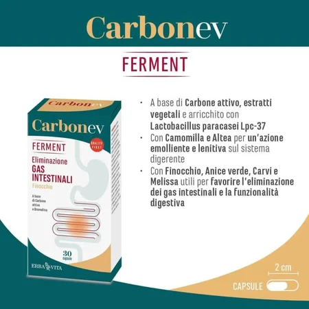 Carbon EV Ferment 30 capsules - dietary supplement for gut health