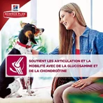 Hill's Science Plan Adult Dog Advanced Fitness Trockenfutter für große Rassen mit Huhn, 12 kg