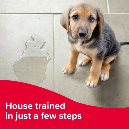 Beaphar Beaphar Swiftie Trainer - Trainingsdruppels voor puppy's en kittens, 20 ml