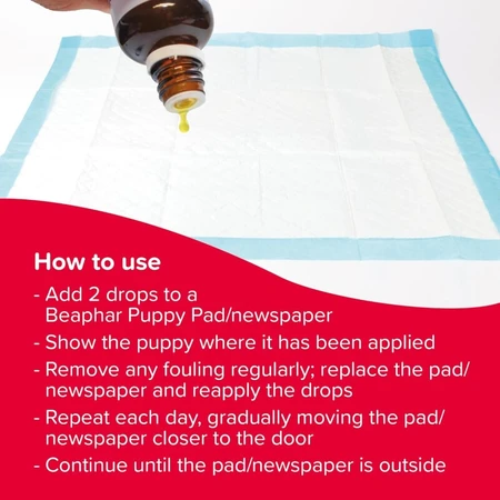 Beaphar Beaphar Swiftie Trainer - Trainingsdruppels voor puppy's en kittens, 20 ml
