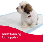 Beaphar Beaphar Swiftie Trainer - Trainingsdruppels voor puppy's en kittens, 20 ml