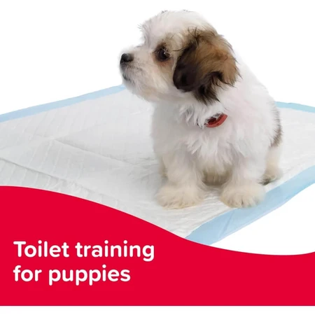 Beaphar Beaphar Swiftie Trainer - Trainingsdruppels voor puppy's en kittens, 20 ml