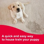 Beaphar Beaphar Swiftie Trainer - Trainingsdruppels voor puppy's en kittens, 20 ml