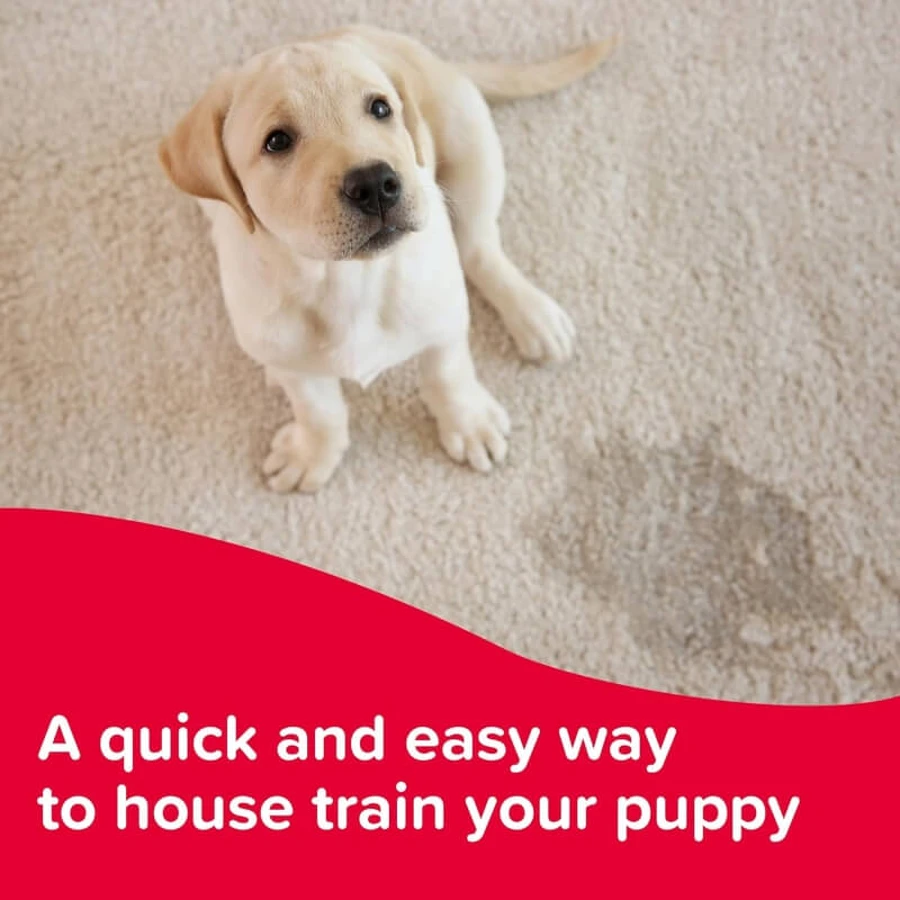 Beaphar Beaphar Swiftie Trainer - Trainingsdruppels voor puppy's en kittens, 20 ml