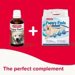 Beaphar Beaphar Swiftie Trainer - Trainingsdruppels voor puppy's en kittens, 20 ml