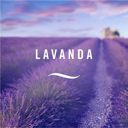 Ambi pur Lavender - Refill for Essential Oil Diffuser