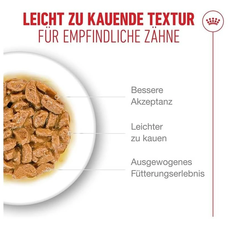 Royal Canin Ageing 11+ Bites en salsa - Alimento completo para gatos mayores de 11 años, 85 g