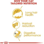 Royal Canin Persian Cat - Croquettes complètes pour chats persans, 10 kg
